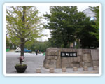 The International Institute of Japanese language
