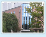 The International Institute of Japanese language