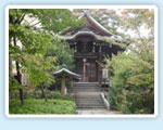 The International Institute of Japanese language